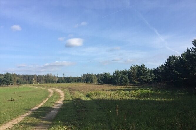 Līču ceļš 9, Jelgavas nov.