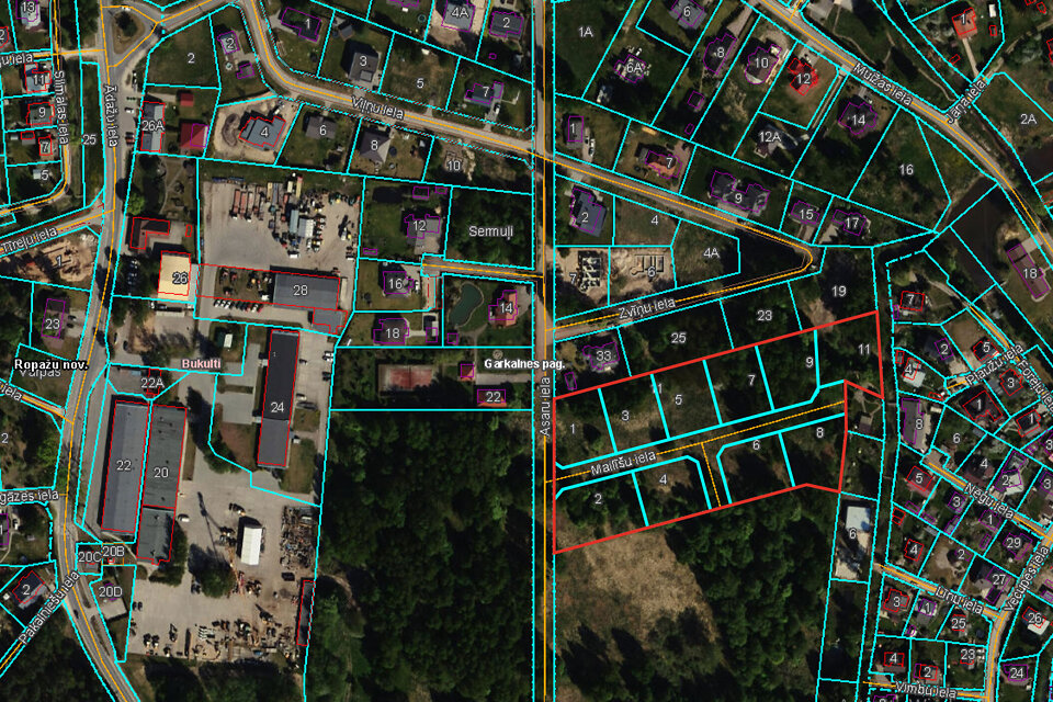 Asaru iela, Bukulti, Ropažu nov.