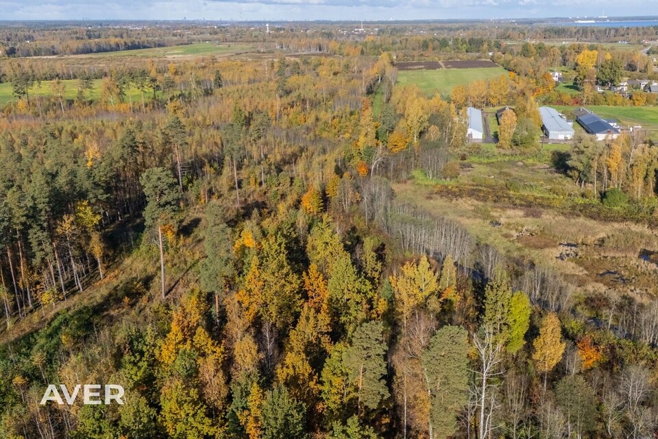 Vaču Ciems, Ķekavas nov.