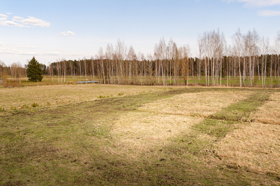 Ziedlapas, Jelgavas nov.