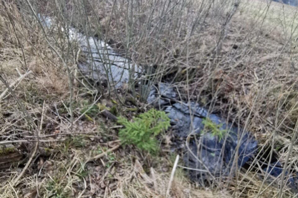 Griķi, Siguldas nov.