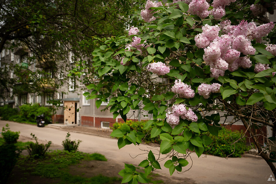 Mores iela 7, Rīga