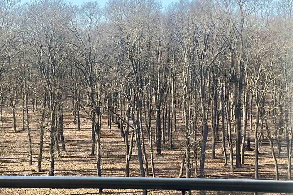 Silmaču iela 1, Rīga