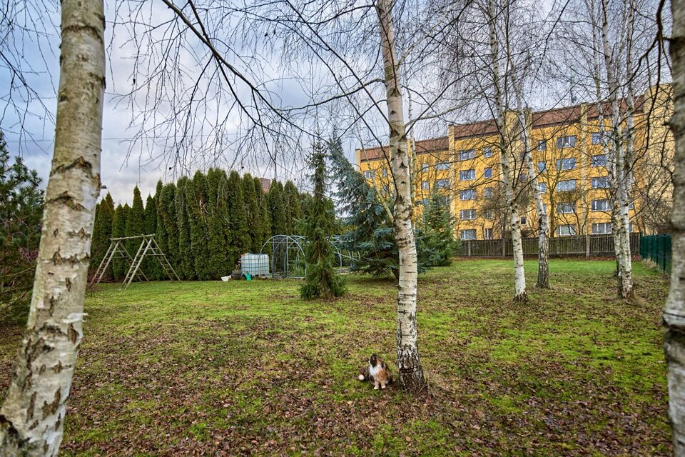 Kareivju iela 8, Bauska, Bauskas nov.