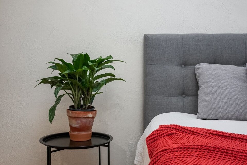 Artilērijas iela 19, Rīga