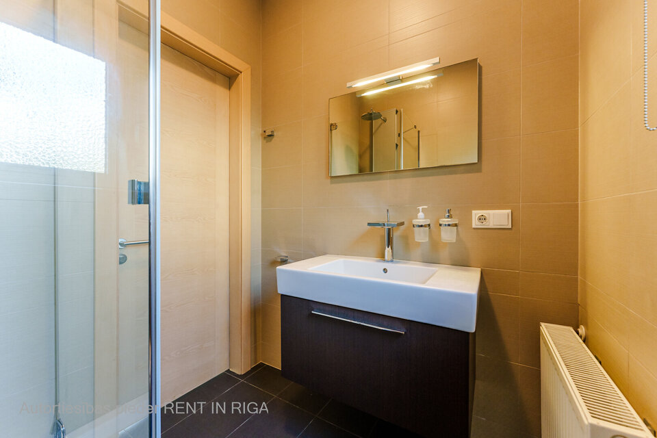 Ļaudonas iela, Rīga