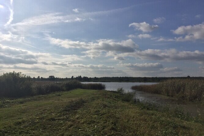 Līču ceļš 9, Jelgavas nov.