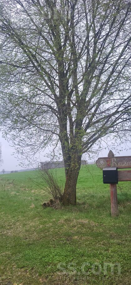 Vitkuški, Daugavpils un raj., Eglaines pag. — vienseta