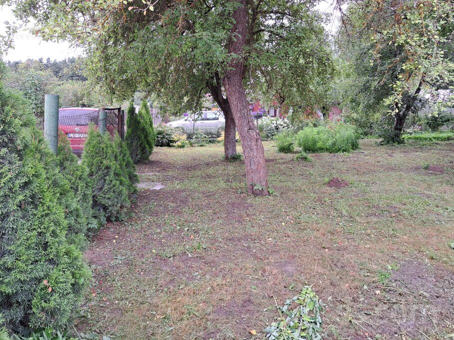 Mežsarga 12, Medemciems, Rīgas rajons, Olaines pag. — zeme