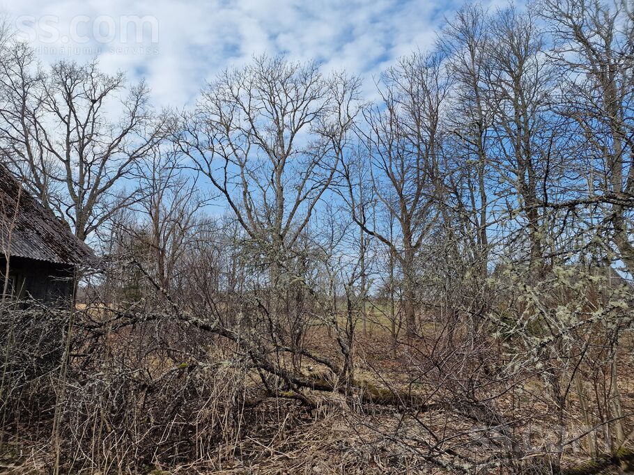 Vite, Rīgas rajons, Mālpils pag. — vienseta