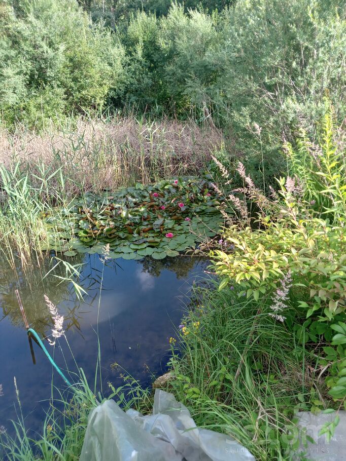 Mezvidi 47, Ogre un raj., Ogre — maja