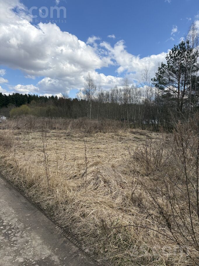 D/s liesma 108, Brodi, Jēkabpils un raj., Ābeļu pag. — zeme