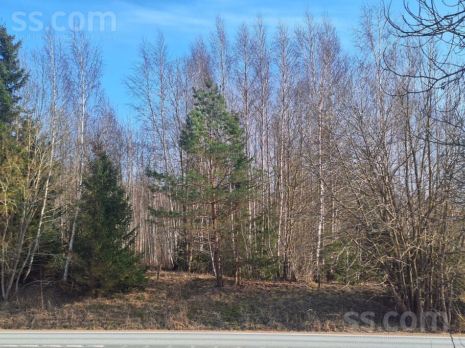 Bez nosaukuma, Eikaži, Rīgas rajons, Krimuldas pag. — zeme