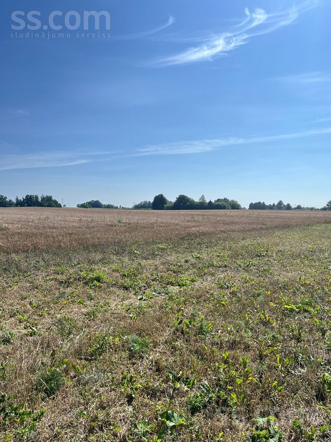 Avotiņi, Jaunlutriņi, Saldus un raj., Jaunlutriņu pag. — zeme