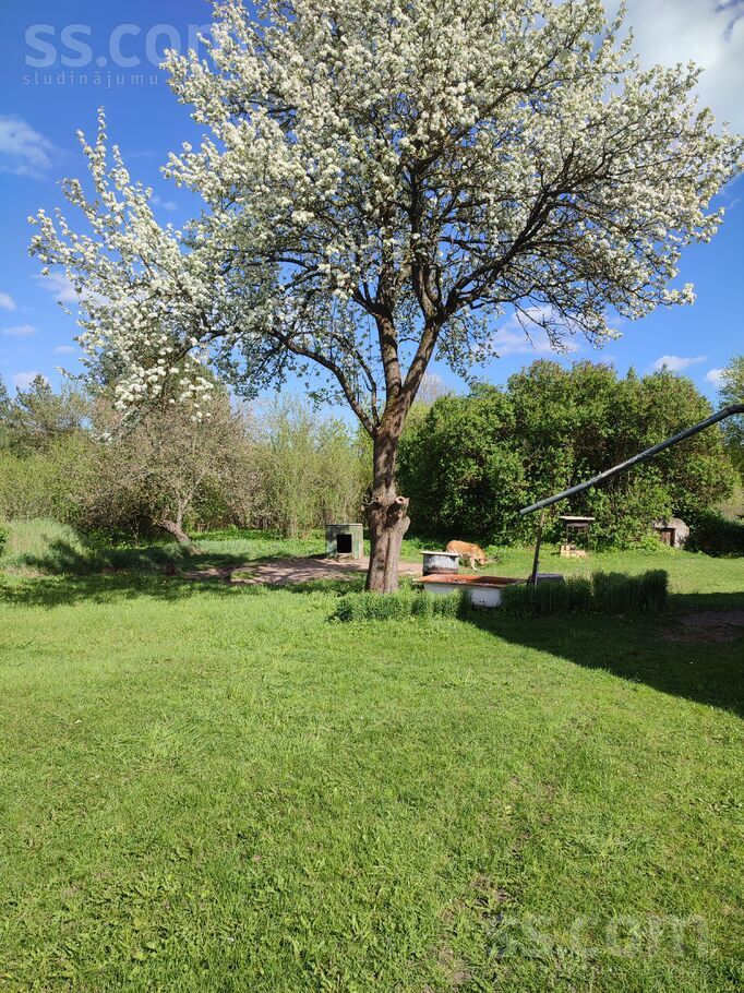 18.novembra 436, Daugavpils un raj., Daugavpils — zeme