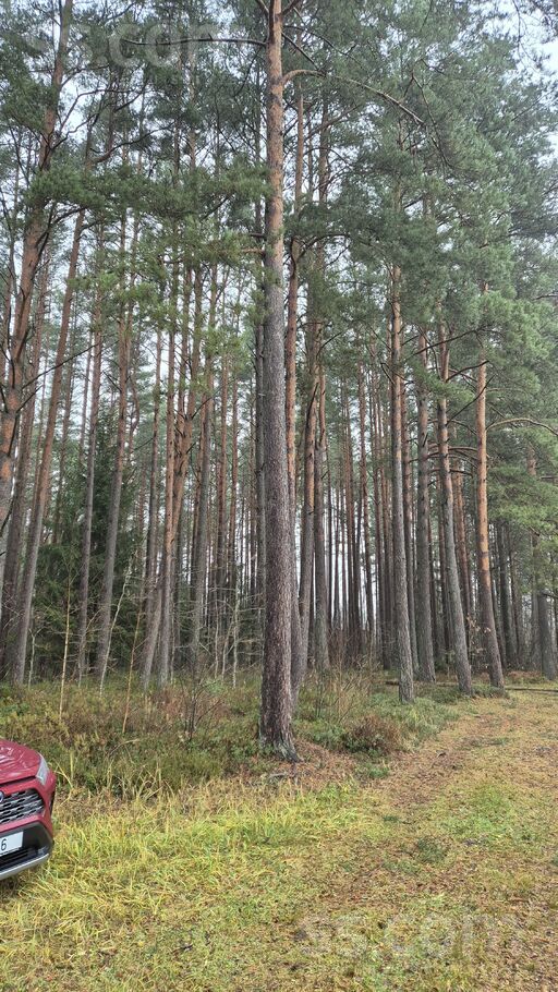 Cīruļu 9, Skulte, Limbaži un raj., Skultes pag. — zeme