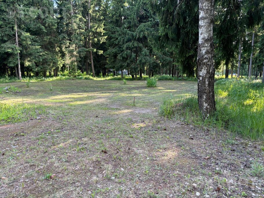 Muižas iela 11, Rīgas rajons, Saulkrasti — zeme