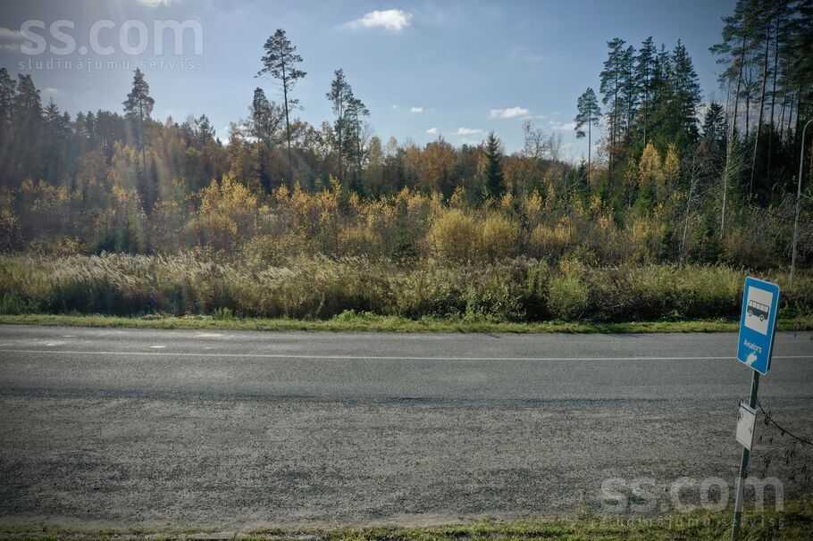 80700181054, Dzērumi, Rīgas rajons, Ķekavas pag. — zeme