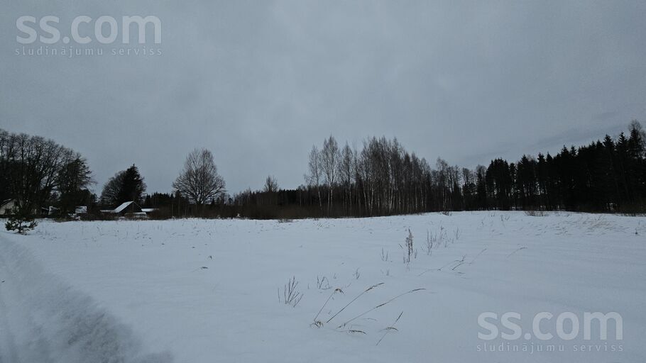 Krauļi 1, Bauska un raj., Bauska — zeme