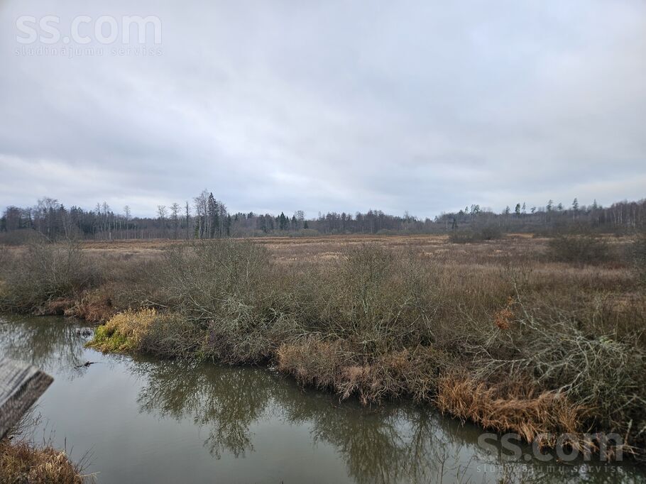 Brodi, Jēkabpils un raj., Ābeļu pag. — mezs
