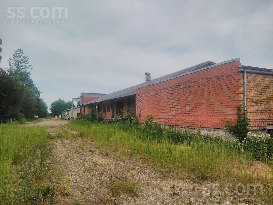 P11, Limbaži un raj., Limbaži — telpa