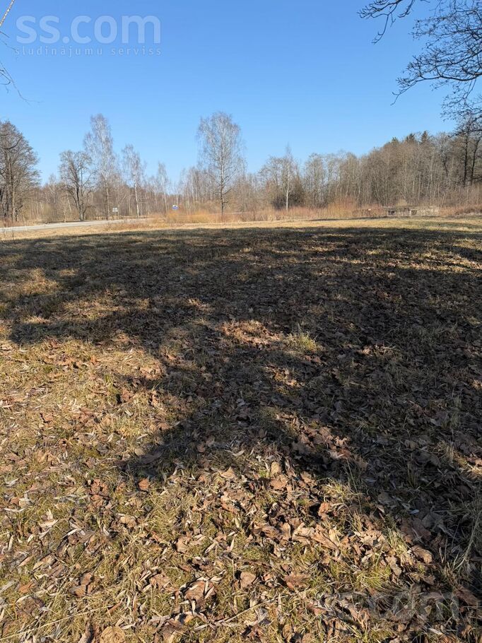 Aiviekstes iela 2, Aizkraukle un raj., Pļaviņas — zeme