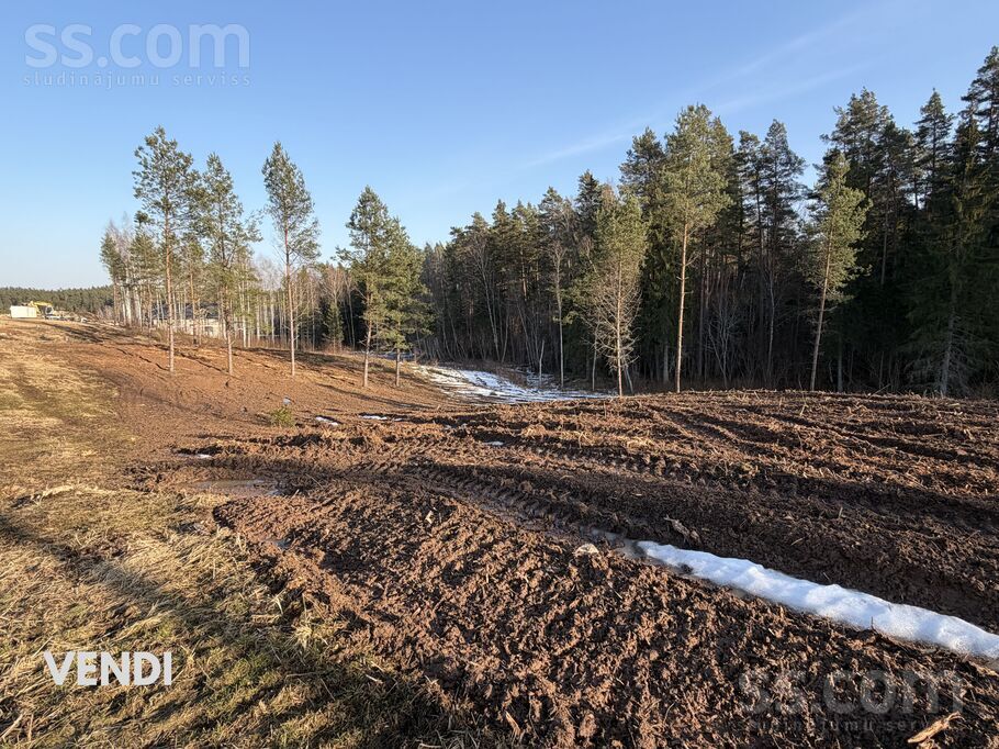 Toma, Priekuļi, Cēsis un raj., Priekuļu pag. — zeme