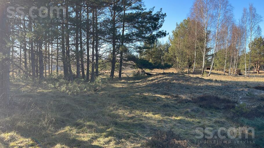 Piški Lōrm, Sīkrags, Talsi un raj., Kolkas pag. — zeme