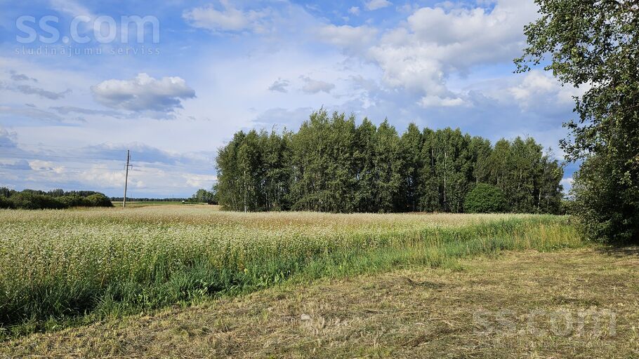 Rēzekne un raj., Viļāni — vienseta