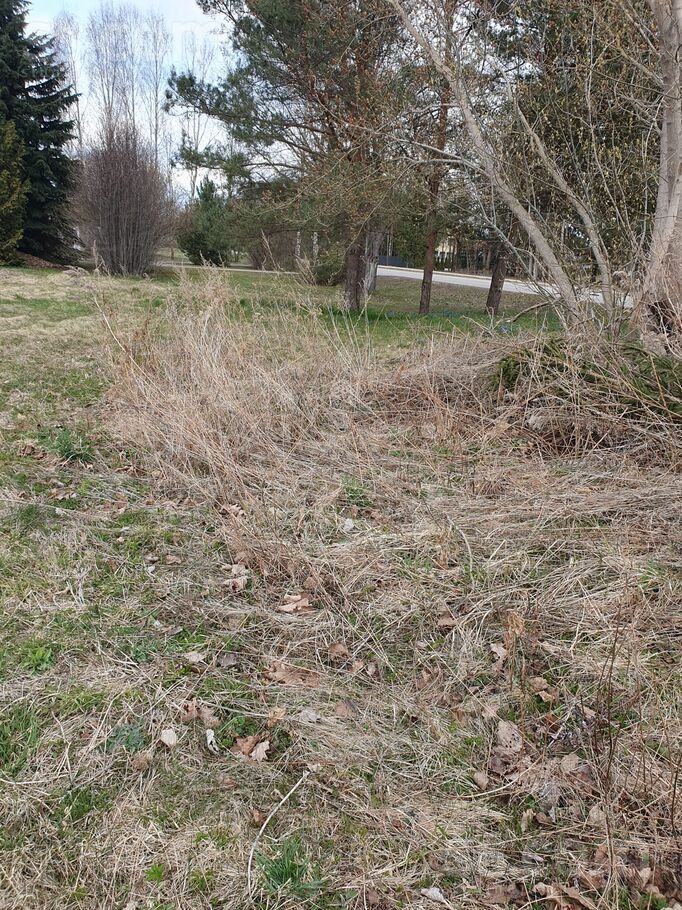 Jāņa Akurātera iela 43a, Jēkabpils un raj., Jēkabpils — zeme
