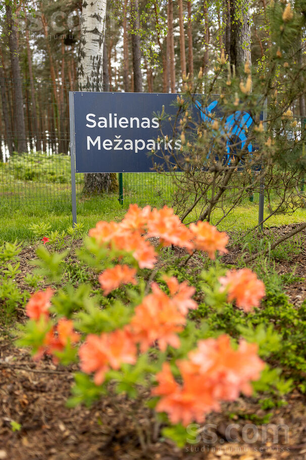 Parka iela 6, Piņķi, Rīgas rajons, Babītes pag. — dzivoklis