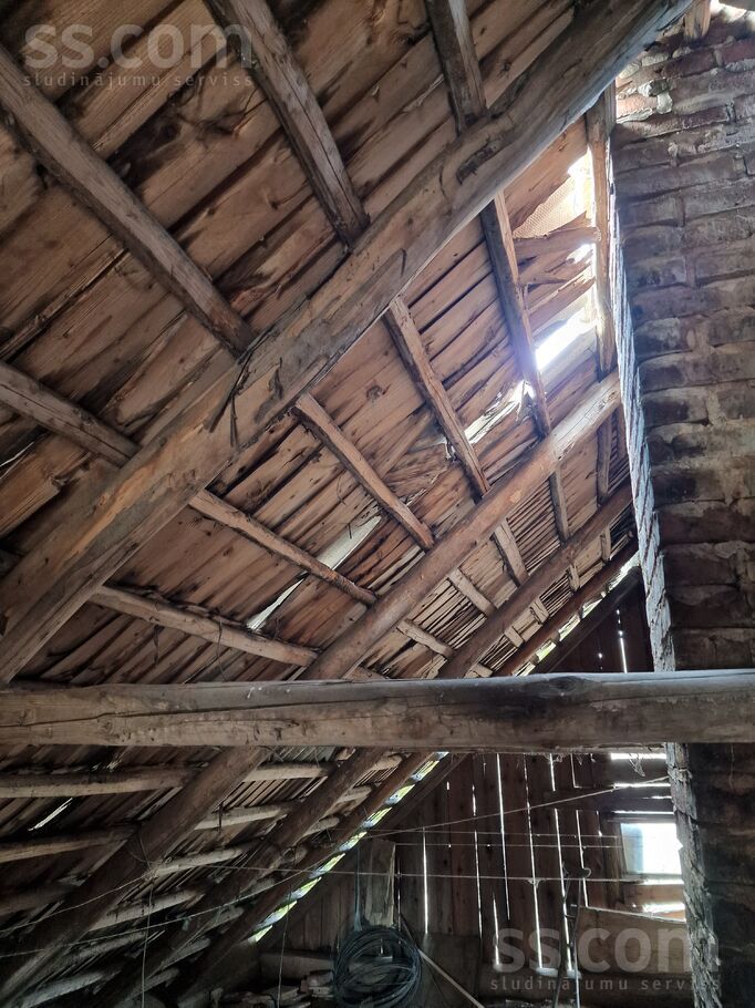 Vite, Rīgas rajons, Mālpils pag. — vienseta