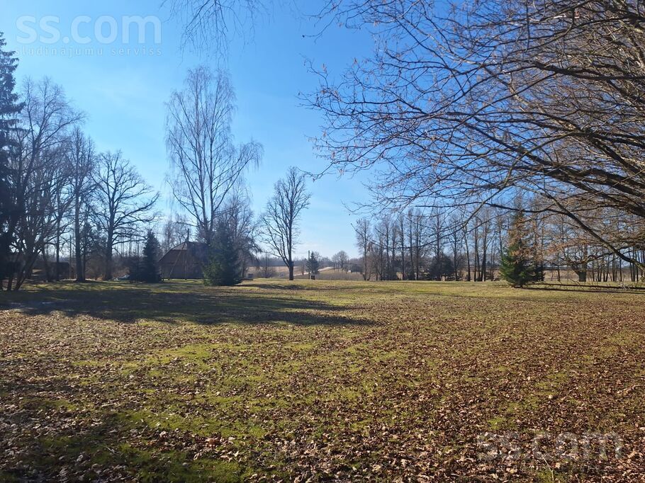 Bauska un raj. — vienseta