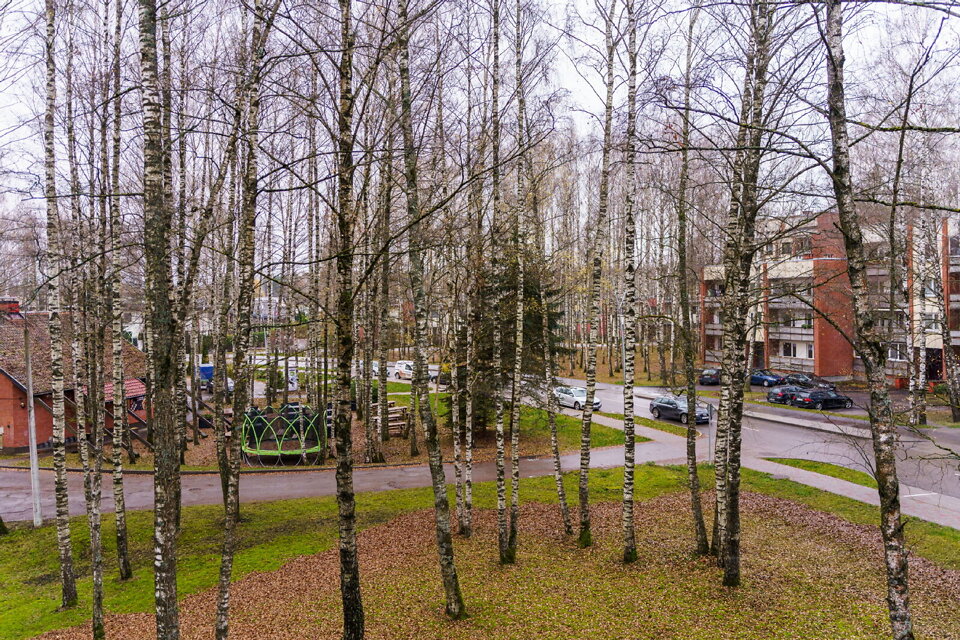 Uzvaras prospekts 7, Baloži, Ķekavas nov.