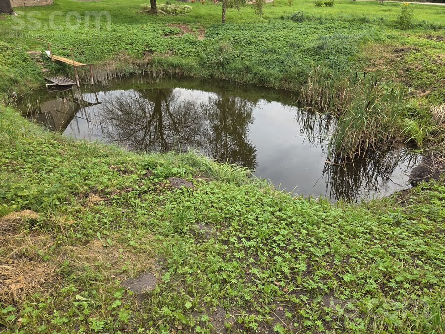 Skolas iela 9, Šķeltova, Krāslava un raj., Šķeltovas pag. — maja