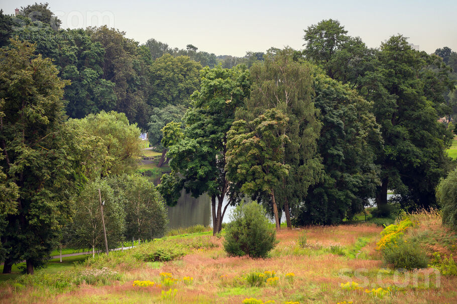 Liepājas 2, Rīga — dzivoklis