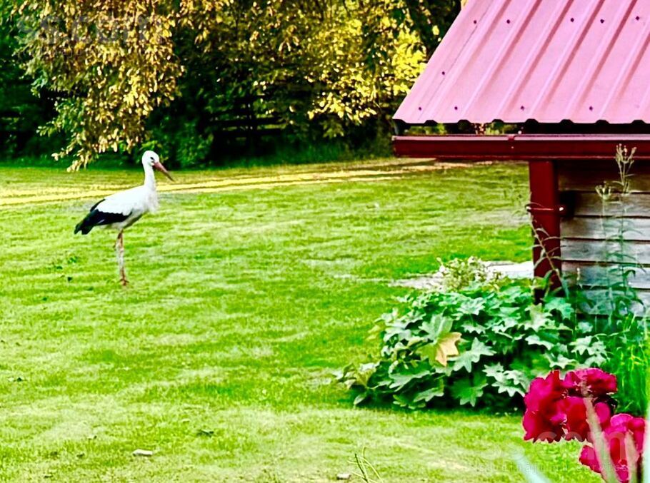 Efejas, Liepupe, Limbaži un raj., Liepupes pag. — maja