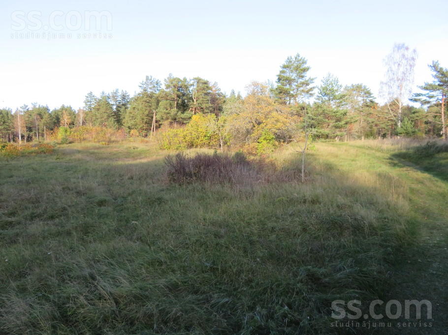 Tilti 2, Miķeļtornis, Ventspils un raj., Tārgales pag. — zeme