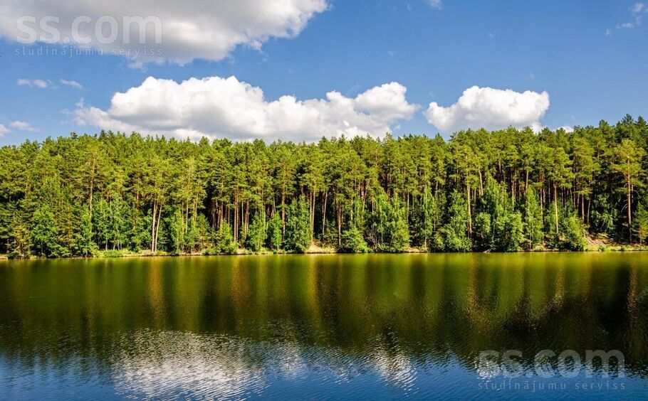 Pavasara, Brīvkalni, Rīgas rajons, Babītes pag. — zeme