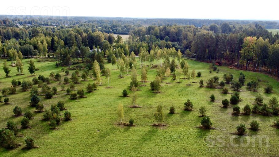 Dobelnieki, Rīgas rajons, Salaspils — zeme