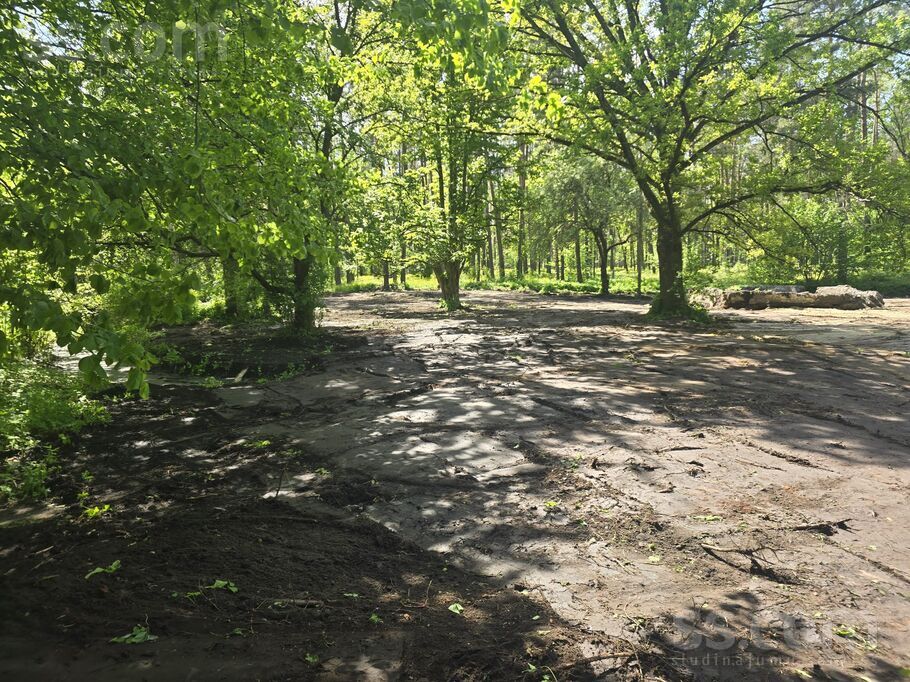 Murjāņu 20a, Rīga — zeme