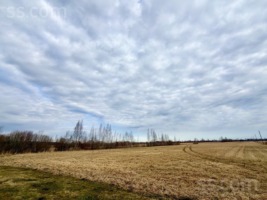 Žubītes, Pavasari, Rīgas rajons, Salas pag. — zeme
