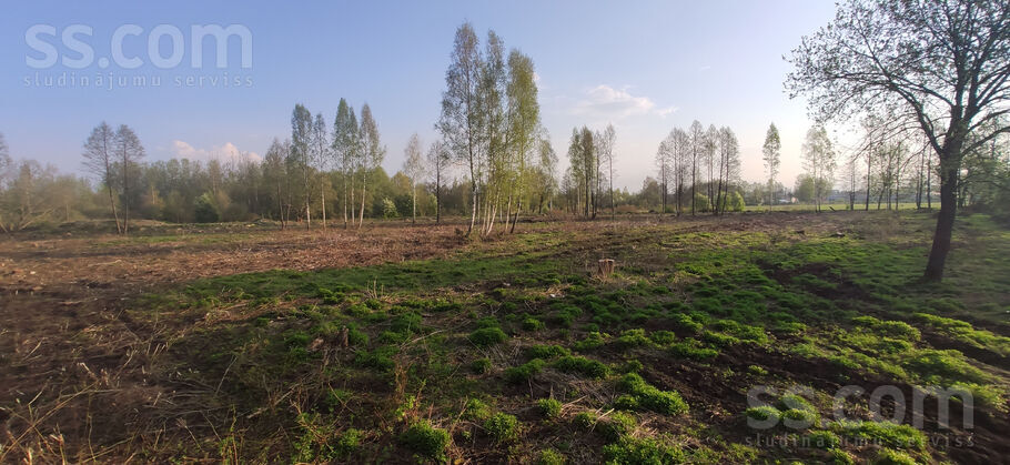Mūkupurva 12, Rīga — zeme