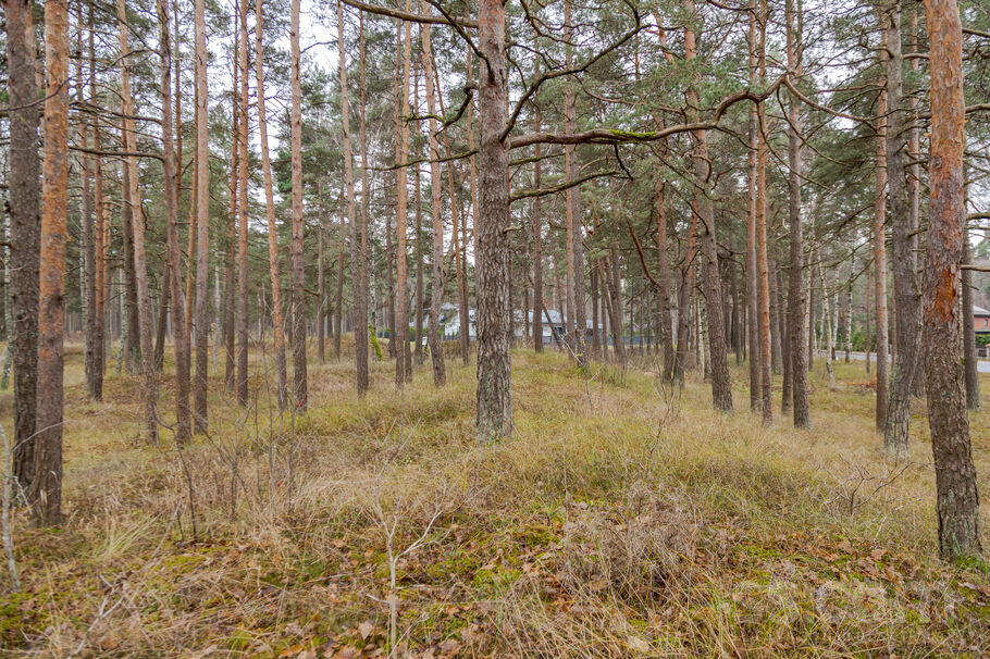 Vecāķu pr., Rīga — zeme