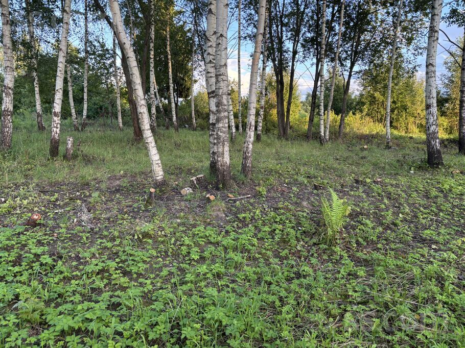 Dienvidu iela 12, Rīgas rajons, Salaspils — zeme