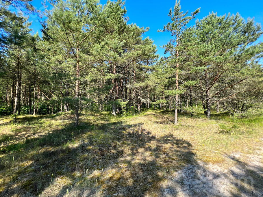 Grīnvalti 2, Liepāja un raj., Nīcas pag. — zeme