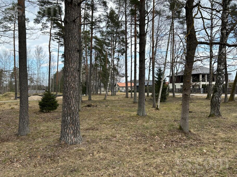 Sedolu iela 1, Jaunmārupe, Rīgas rajons, Mārupes pag. — zeme
