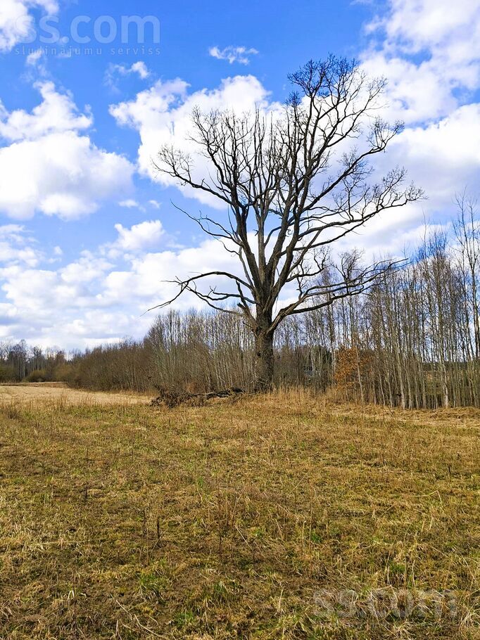 Brīnumpļava, Jugla, Ogre un raj., Suntažu pag. — zeme