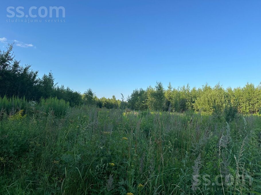 Svīķu iela 1, Pārolaine, Rīgas rajons, Olaines pag. — zeme