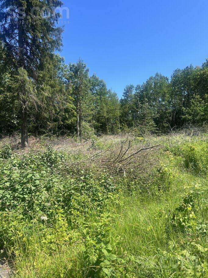 Tūristu iela 8, Jūrmala — zeme